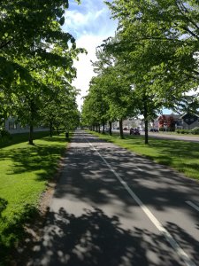 IMG_20170605_171635.jpg