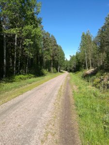 IMG_20170615_170353.jpg