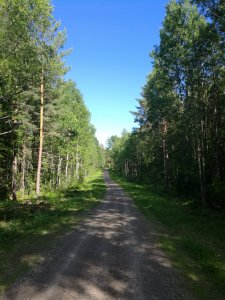 IMG_20170615_171206.jpg