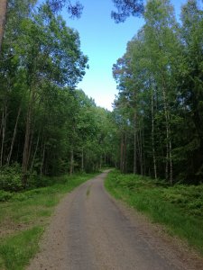 IMG_20170615_172906.jpg