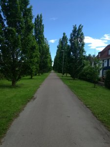 IMG_20170615_180959.jpg