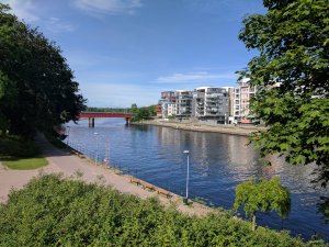 IMG_20170615_171500.jpg
