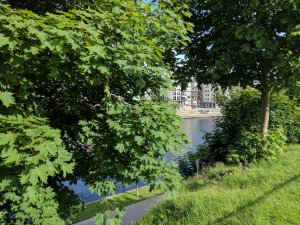 IMG_20170615_171514.jpg