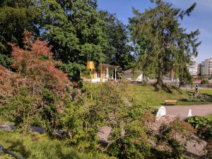 IMG_20170615_172347.jpg