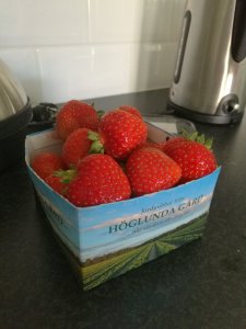 IMG_20170617_180912.jpg