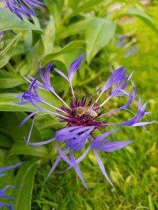 20170617_180735.jpg