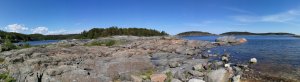 IMG_20170614_144838.jpg