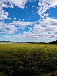 IMG_20170621_181615.jpg