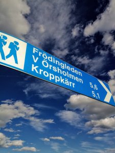 IMG_20170621_181843.jpg