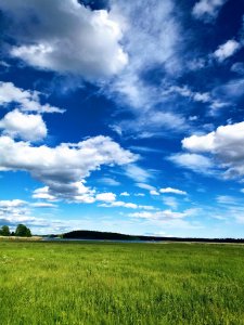 IMG_20170621_182125.jpg