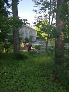 IMG_20170621_192736.jpg