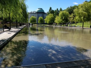 IMG_20170627_101828.jpg
