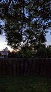01-pixel-xl.jpg