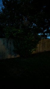05-pixel-xl.jpg
