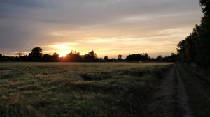 IMG_20170628_213026.jpg