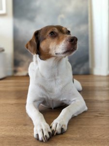 IMG_20170628_200359_Bokeh.jpg