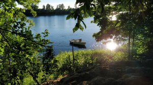 IMG_20170701_193428.jpg