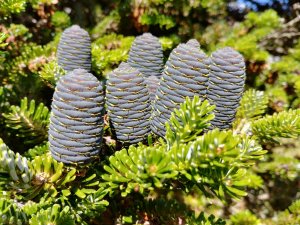 20170703_120520_HDR.jpg