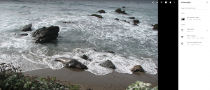 seal_2007.png