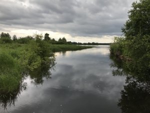 IMG_0379.JPG