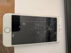 2017-07-13 16.30.11.jpg