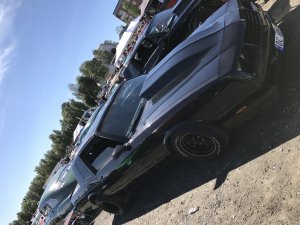 IMG_0483.JPG