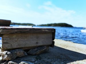 IMG_20170715_085746_Bokeh_01.jpg