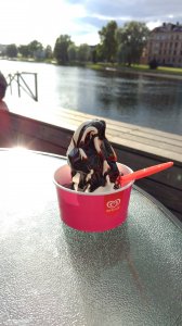 IMG_20170719_190616.jpg