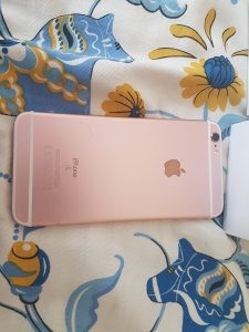 20170725_174802.jpg