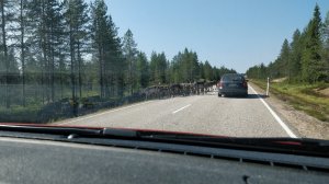 IMG_20170726_121150.jpg