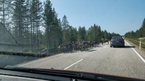 IMG_20170726_121152.jpg