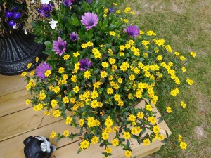 20170726_123326.jpg