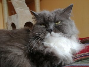 20170726_133342.jpg