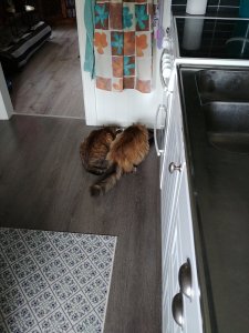 20170726_163415_HDR.jpg
