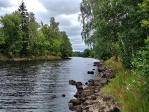 20170729_160346_HDR.jpg