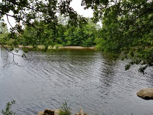 20170729_153526_HDR.jpg