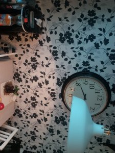 IMG_20170802_201115.jpg
