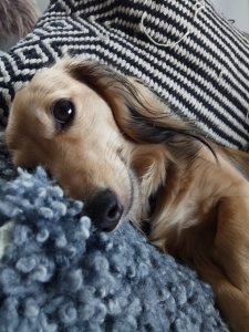 IMG_20170802_085836.jpg