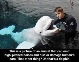 FB_IMG_1502190704724.jpg
