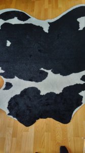IMG_20170808_195627.jpg