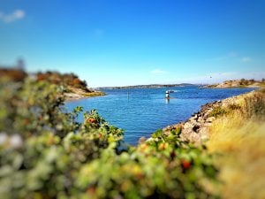 20170810_132225-01.jpeg
