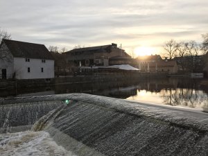 IMG_3980.JPG