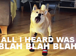 F61BD657-7FB2-45FE-8229-43EC4C8D6930.gif