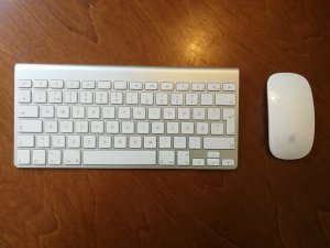 IMG_20170828_172154.jpg