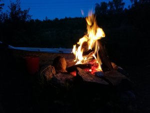 IMG_20170819_210629.jpg