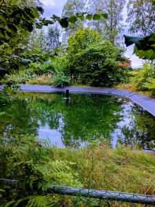 IMG_20170907_175937-EFFECTS.jpg