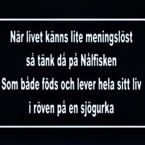 8BB05DAB-7793-41E5-B4E0-9EBFDC4B5792.jpeg