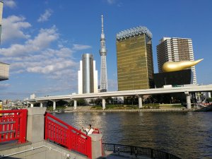 IMG_20170908_163329.jpg