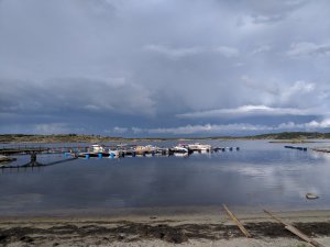 IMG_20170917_151209.jpg