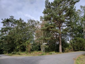 IMG_20170917_113306.jpg